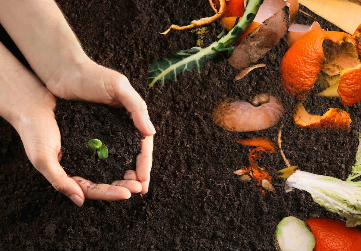 Comment préparer un bon compost