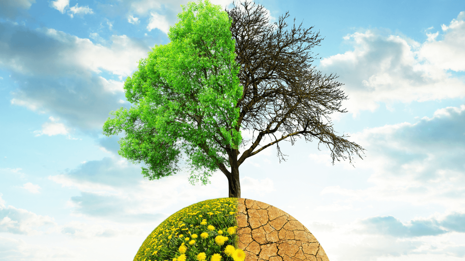 C'est quoi le stress hydrique ?